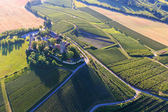 Château de Ravensburg (Sulzfeld) le matin sur une colline avec des vignes à Sulzfeld dans le département Bade-Wurtemberg, Allemagne vue du ciel