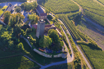 Enregistrement par drone de Château de Ravensburg (Sulzfeld) le matin sur une colline avec des vignes à Sulzfeld dans le département Bade-Wurtemberg, Allemagne