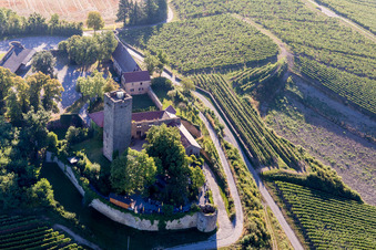 Vue oblique de Forteresse de Ravensbourg avec restaurant-château sur une colline avec des vignobles à Sulzfeld dans le département Bade-Wurtemberg, Allemagne