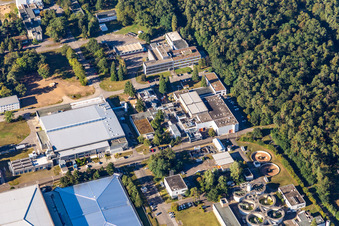 Image drone de Quartier Leopoldshafen in Eggenstein-Leopoldshafen dans le département Bade-Wurtemberg, Allemagne