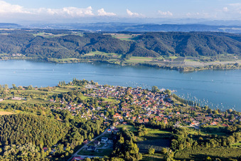 Vue aérienne de Zones riveraines du lac Inférieur en Wangen à le quartier Wangen in Öhningen dans le département Bade-Wurtemberg, Allemagne