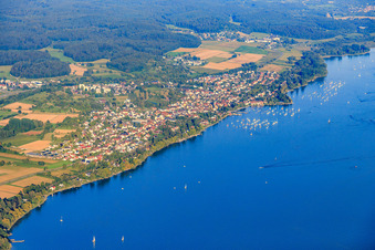 Vue aérienne de Vue de la ville sur la rive du lac Gnadensee depuis l'ouest à Allensbach dans le département Bade-Wurtemberg, Allemagne