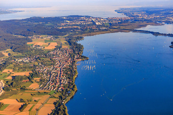 Vue aérienne de Vue de la ville sur la rive du lac Gnadensee depuis l'ouest à Allensbach dans le département Bade-Wurtemberg, Allemagne