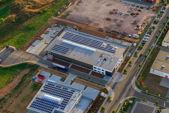Vue aérienne de Braun Maschinenbau GmbH à le quartier Queichheim in Landau in der Pfalz dans le département Rhénanie-Palatinat, Allemagne