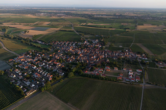 Vue aérienne de Champs agricoles et terres agricoles à Impflingen dans le département Rhénanie-Palatinat, Allemagne