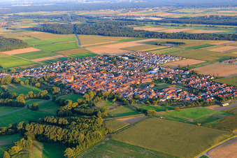 Vue aérienne de Vue du village depuis le nord-ouest à Steinweiler dans le département Rhénanie-Palatinat, Allemagne