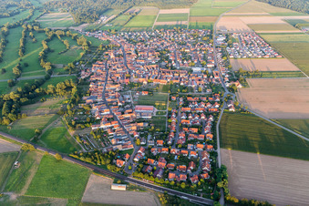 Photographie aérienne de Vue sur le village à Steinweiler dans le département Rhénanie-Palatinat, Allemagne