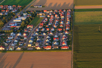 Vue oblique de Chemin des colons à Steinweiler dans le département Rhénanie-Palatinat, Allemagne
