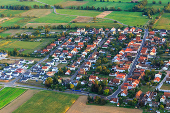 Vue aérienne de Gartenstraße et Holzgasse à Minfeld dans le département Rhénanie-Palatinat, Allemagne