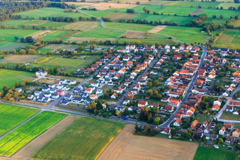 Vue aérienne de Gartenstraße et Holzgasse à Minfeld dans le département Rhénanie-Palatinat, Allemagne