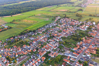 Photographie aérienne de Vue d'ensemble du village depuis l'est à Minfeld dans le département Rhénanie-Palatinat, Allemagne