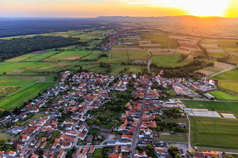 Vue aérienne de Vue d'ensemble du village au coucher du soleil depuis l'est à Minfeld dans le département Rhénanie-Palatinat, Allemagne