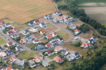 Vue aérienne de Quartier Hardtwald in Neupotz dans le département Rhénanie-Palatinat, Allemagne