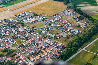 Bague fleur à le quartier Hardtwald in Neupotz dans le département Rhénanie-Palatinat, Allemagne d'en haut