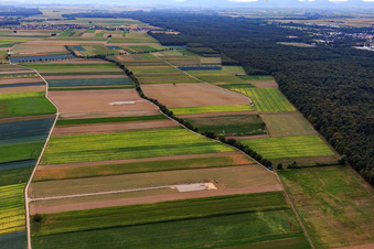 Vue aérienne de Fondation du chantier de construction d'une éolienne à Hatzenbühl dans le département Rhénanie-Palatinat, Allemagne