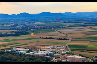 Vue aérienne de 2 montgolfières vers Insheim à Herxheim bei Landau dans le département Rhénanie-Palatinat, Allemagne