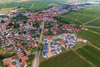 Vue aérienne de Nouvelle zone de développement Am Wingertsberg à Insheim dans le département Rhénanie-Palatinat, Allemagne