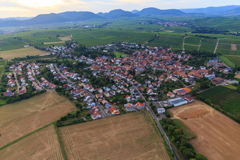 Vue aérienne de Vue du village depuis l'est à le quartier Mörzheim in Landau in der Pfalz dans le département Rhénanie-Palatinat, Allemagne
