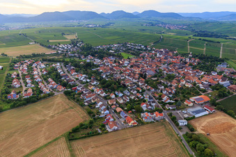 Vue aérienne de Vue du village depuis l'est à le quartier Mörzheim in Landau in der Pfalz dans le département Rhénanie-Palatinat, Allemagne