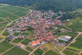 Vue aérienne de Village viticole au pied du Haardtrand vu du nord-est à Eschbach dans le département Rhénanie-Palatinat, Allemagne