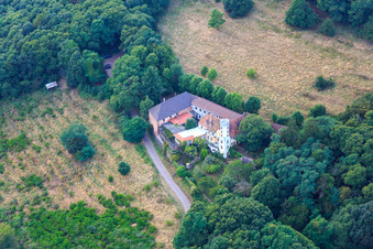 Vue aérienne de Slevogthof Neukastel à Leinsweiler dans le département Rhénanie-Palatinat, Allemagne