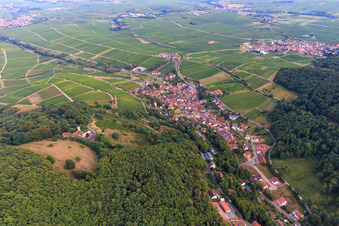 Vue aérienne de Village viticole au pied du Haardtrand vu du nord-ouest à Leinsweiler dans le département Rhénanie-Palatinat, Allemagne