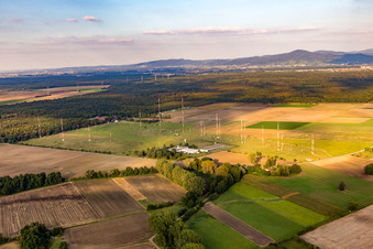 Vue oblique de Antennes à Biblis dans le département Hesse, Allemagne