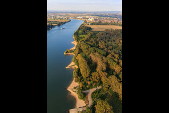 Vue aérienne de Baies de sable sur la rive du Rhin et rampe de l'OTAN Gernsheim à Gernsheim dans le département Hesse, Allemagne