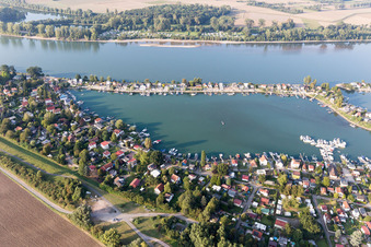 Vue aérienne de Zone de maisons de week-end et zones côtières d'Eicher See sur le Rhin dans le district d'Eicher See à Eich dans le département Rhénanie-Palatinat, Allemagne