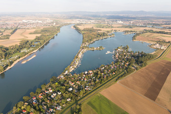 Photographie aérienne de Zone de maisons de week-end et zones côtières d'Eicher See sur le Rhin dans le district d'Eicher See à Eich dans le département Rhénanie-Palatinat, Allemagne