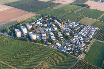 Vue aérienne de Quartier Goldbergstraße dans la zone urbaine à Nieder-Olm dans le département Rhénanie-Palatinat, Allemagne