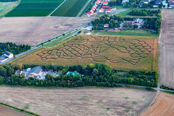 Vue aérienne de Labyrinthe - Labyrinthe avec le contour d'un raisin dans un champ du quartier de Wahlheimer Hof à Dalheim dans le département Rhénanie-Palatinat, Allemagne