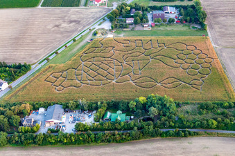 Photographie aérienne de Labyrinthe de maïs à Dalheim dans le département Rhénanie-Palatinat, Allemagne