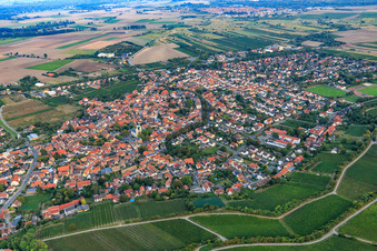 Vue aérienne de Vue d'ensemble de la ville depuis le nord-ouest à Guntersblum dans le département Rhénanie-Palatinat, Allemagne