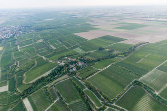 Alsheim/Hangen-Wahlheim