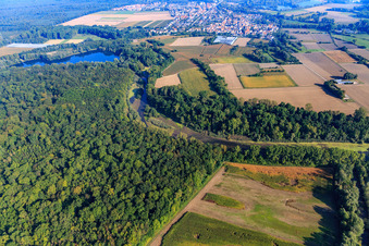 Vue aérienne de Le Michelsbach coule d'un lac dans la forêt du Rheinauen au Brandgraben à le quartier Sondernheim in Germersheim dans le département Rhénanie-Palatinat, Allemagne