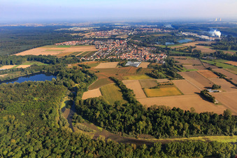 Vue aérienne de Le Michelsbach coule d'un lac dans la forêt du Rheinauen au Brandgraben à le quartier Sondernheim in Germersheim dans le département Rhénanie-Palatinat, Allemagne