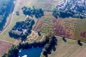 Vue aérienne de Labyrinthe - Labyrinthe dans un champ de maïs à Leimersheim dans le département Rhénanie-Palatinat, Allemagne