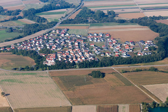 Vue aérienne de Quartier Hardtwald in Neupotz dans le département Rhénanie-Palatinat, Allemagne