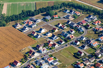 Vue oblique de Quartier Hardtwald in Neupotz dans le département Rhénanie-Palatinat, Allemagne