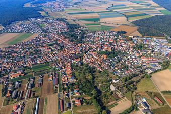 Vue aérienne de Vue de la ville depuis l'est à Rheinzabern dans le département Rhénanie-Palatinat, Allemagne