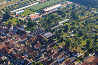 Halles agricoles à Ettenbaum à Kandel dans le département Rhénanie-Palatinat, Allemagne vue d'en haut