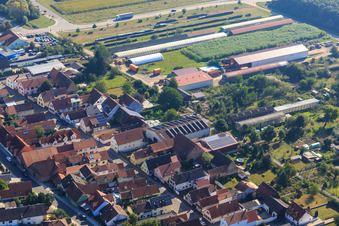 Halles agricoles à Ettenbaum à Kandel dans le département Rhénanie-Palatinat, Allemagne vue du ciel
