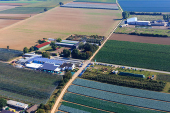 Vue d'oiseau de Marché fermier de Zapf à Kandel dans le département Rhénanie-Palatinat, Allemagne