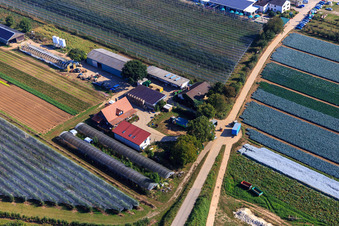 Vue aérienne de Zapf Légumes Frais Am Holderbühl à Kandel dans le département Rhénanie-Palatinat, Allemagne
