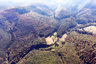 Vue aérienne de Niedersteinbach dans le département Bas Rhin, France