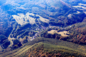 Photographie aérienne de Niedersteinbach dans le département Bas Rhin, France