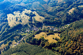 Niedersteinbach dans le département Bas Rhin, France d'en haut