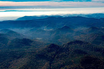 Niedersteinbach dans le département Bas Rhin, France depuis l'avion