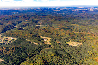 Sturzelbronn dans le département Moselle, France d'en haut